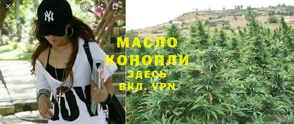 стаф Вяземский