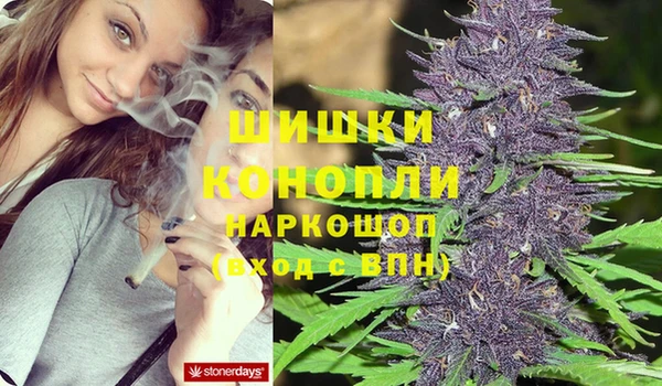 стаф Вяземский