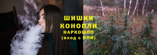 стаф Вяземский